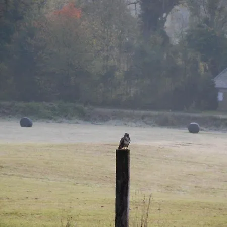 Monsieur Doute Alojamento de Acomodação e Pequeno-almoço